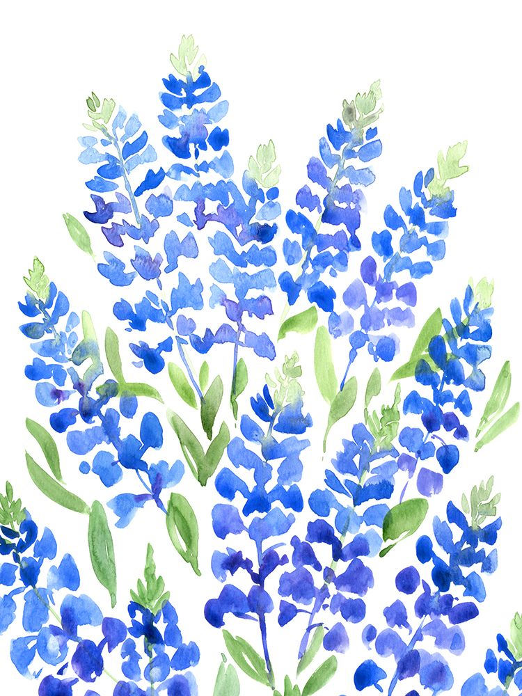 Watercolor Texas bluebonnets art print by Rosana Laiz Blursbyai for $57.95 CAD