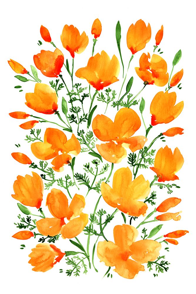 Watercolor California poppies art print by Rosana Laiz Blursbyai for $57.95 CAD
