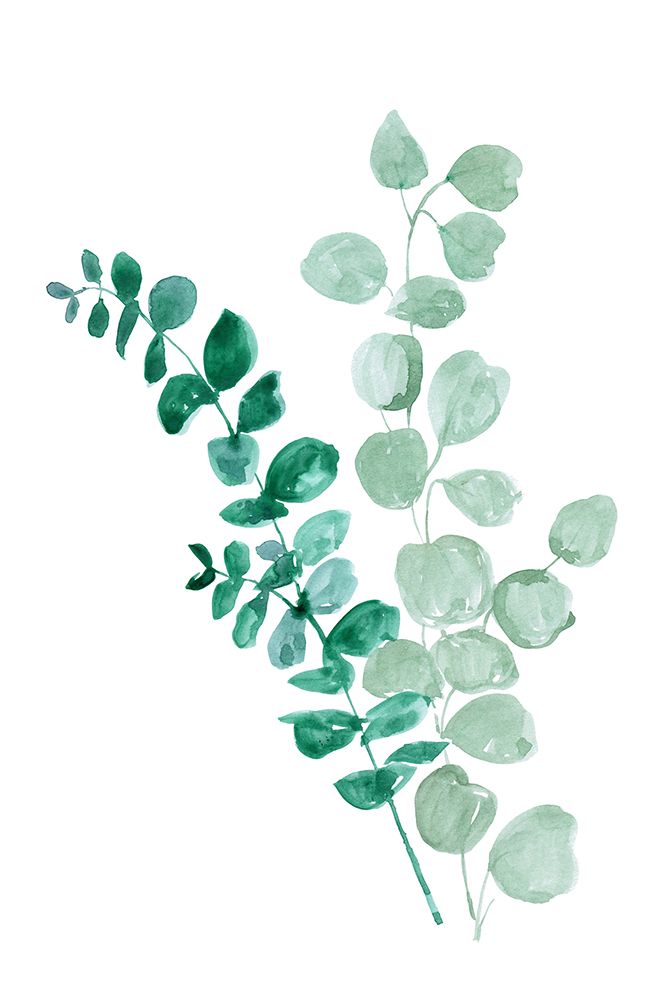 Two eucalyptus branches art print by Rosana Laiz Blursbyai for $57.95 CAD