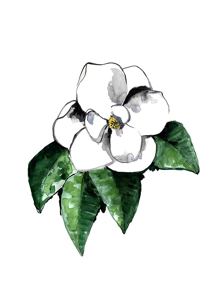 White magnolia art print by Rosana Laiz Blursbyai for $57.95 CAD