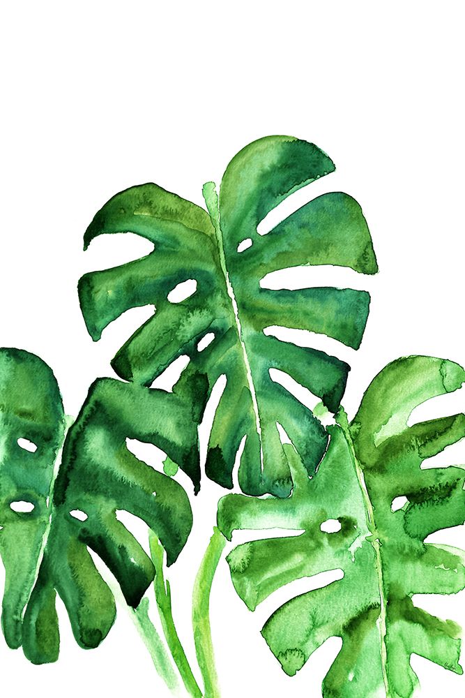 Monstera leaves in loose watercolor art print by Rosana Laiz Blursbyai for $57.95 CAD
