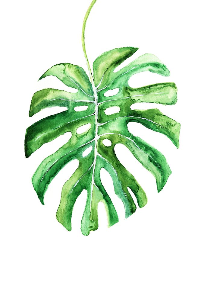 Monstera leaf art print by Rosana Laiz Blursbyai for $57.95 CAD