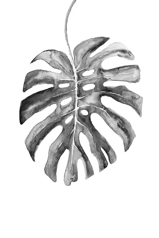 BW monstera leaf art print by Rosana Laiz Blursbyai for $57.95 CAD