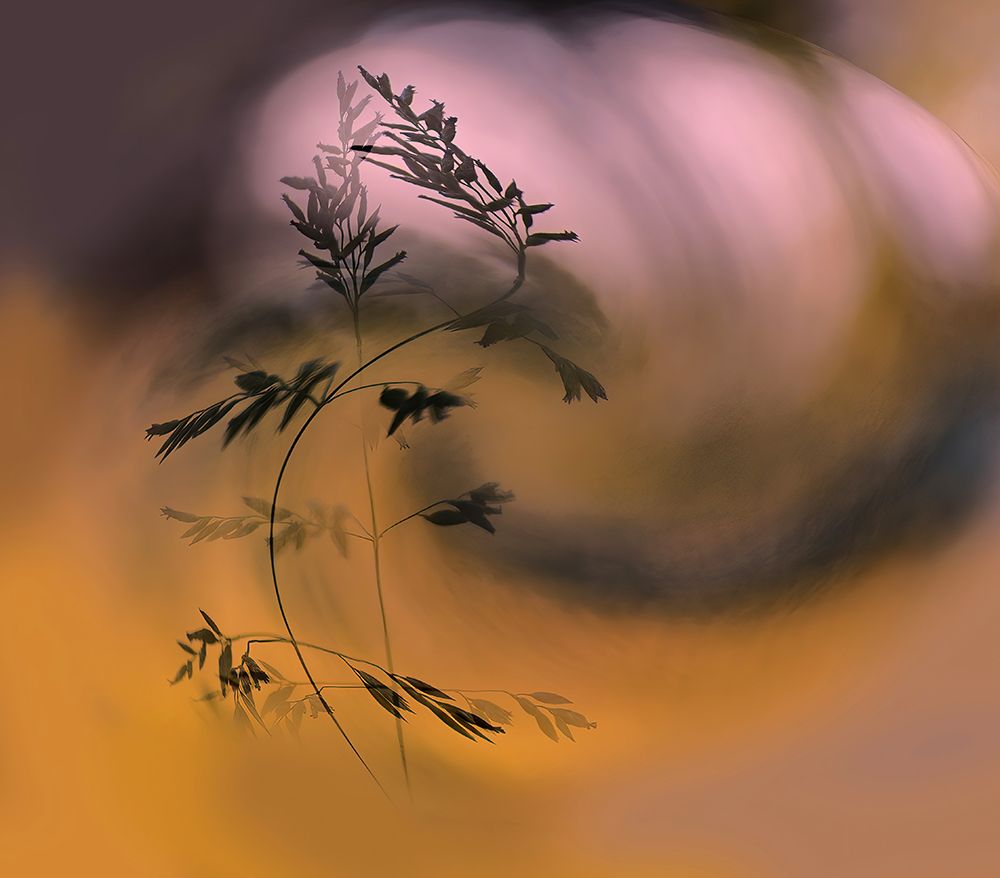 Strayn I Raprelse. art print by Ylva Sjogren for $57.95 CAD
