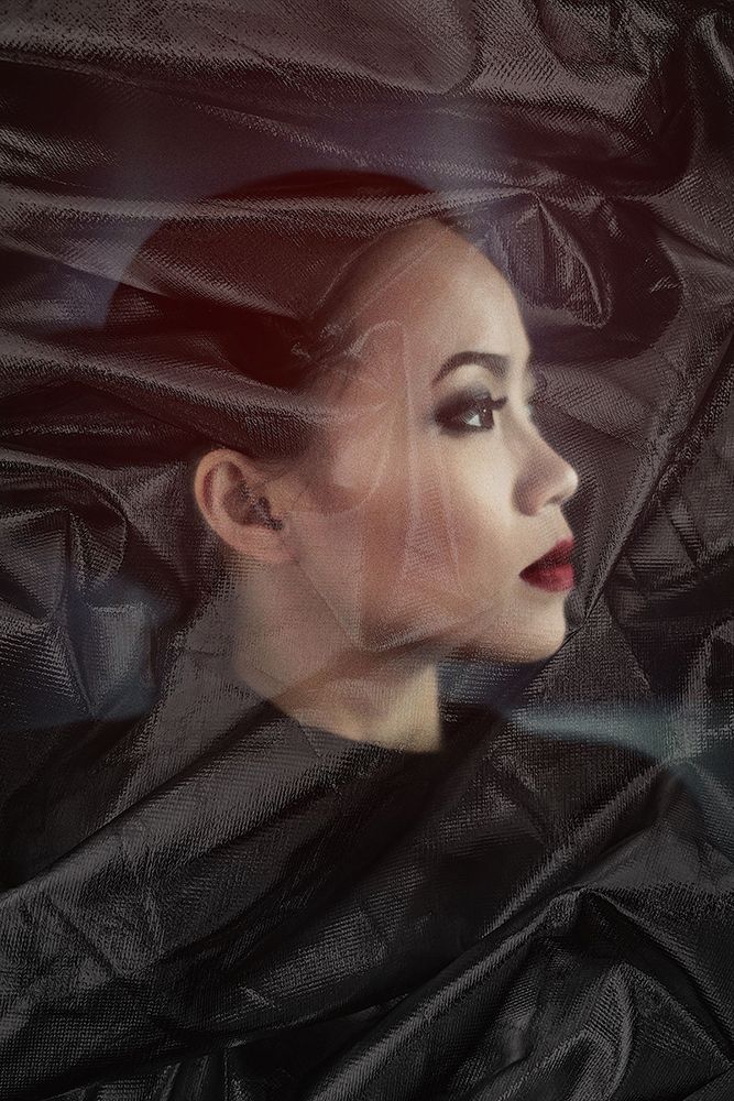 Comtesse art print by Erik Schottstaedt for $57.95 CAD