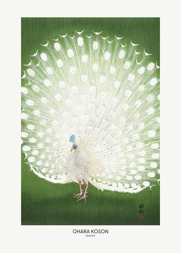 Peacock - Cropped art print by Pictufy for $57.95 CAD