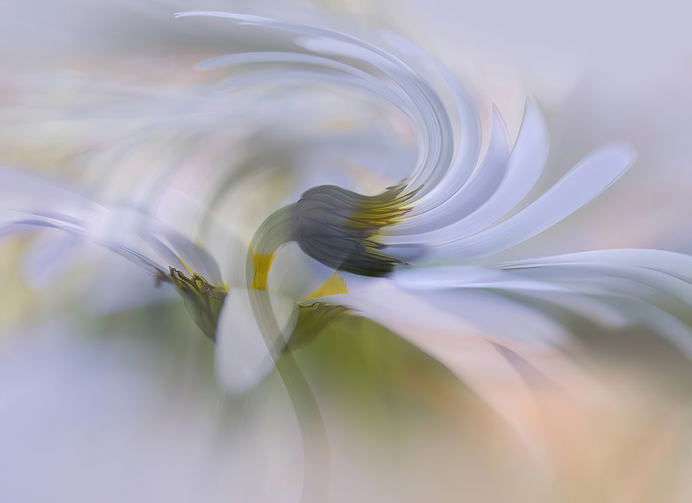In Motion. art print by Ylva Sjogren for $57.95 CAD