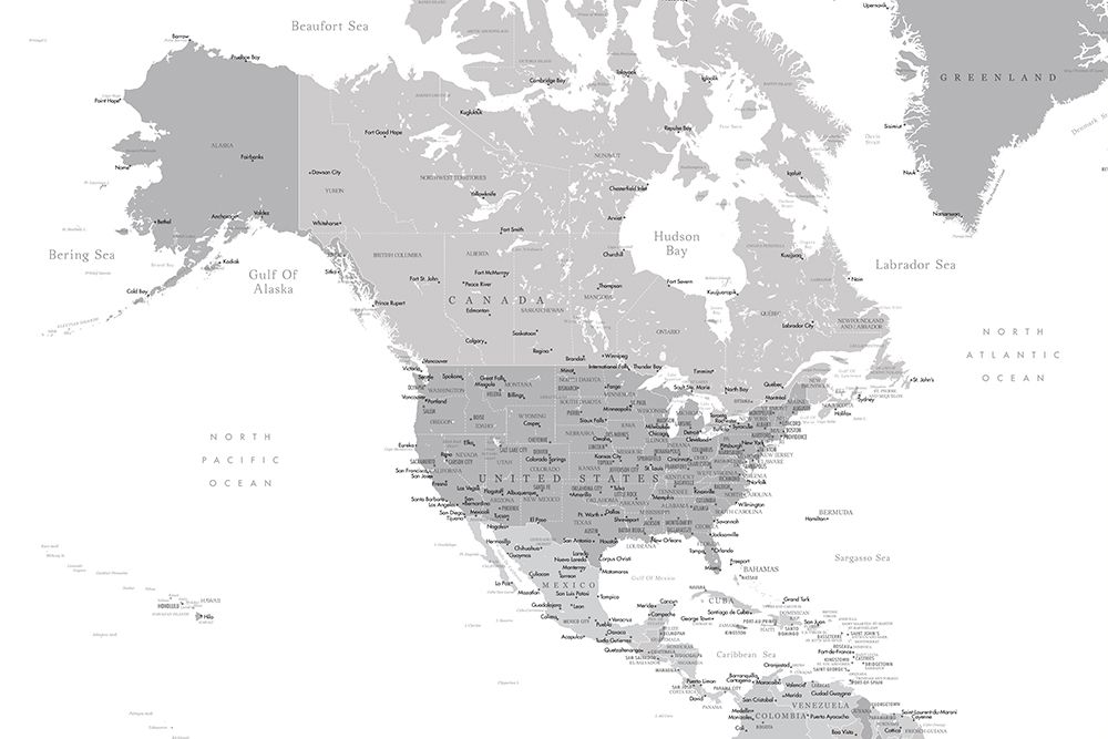 Gray map of North America with cities art print by Rosana Laiz Blursbyai for $57.95 CAD