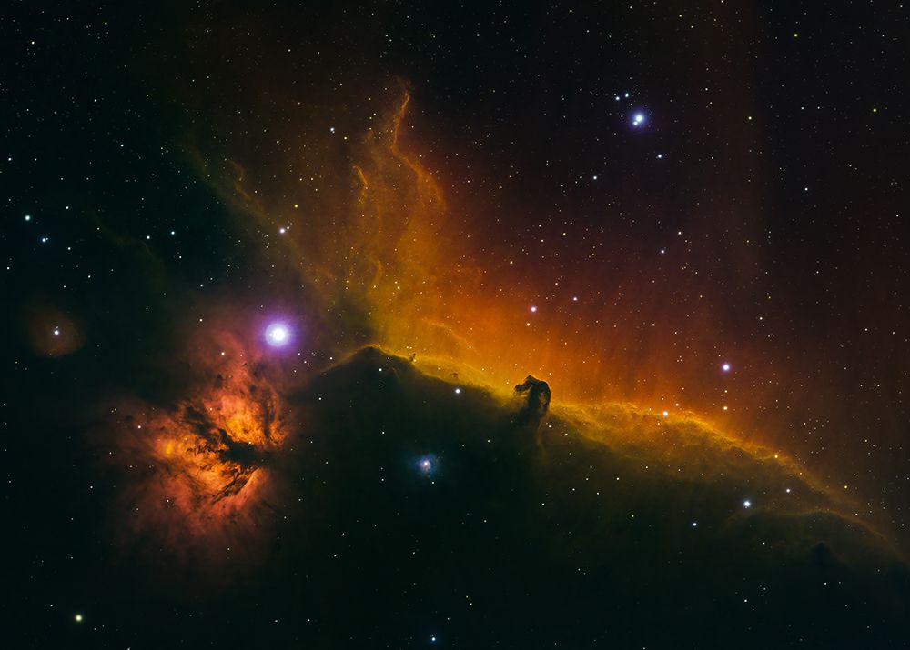 The Horsehead And Flame Nebulae art print by Ken Fong for $57.95 CAD