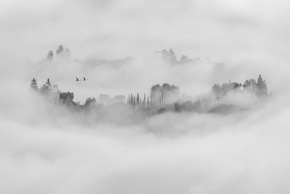 Foggy Morning In Los Angeles art print by Jay Wang for $57.95 CAD