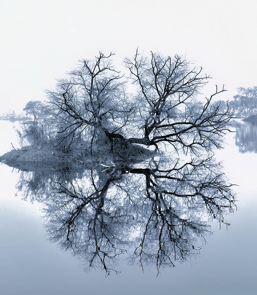 The beauty of natural world ! art print by Satyajit Dwivedi for $57.95 CAD