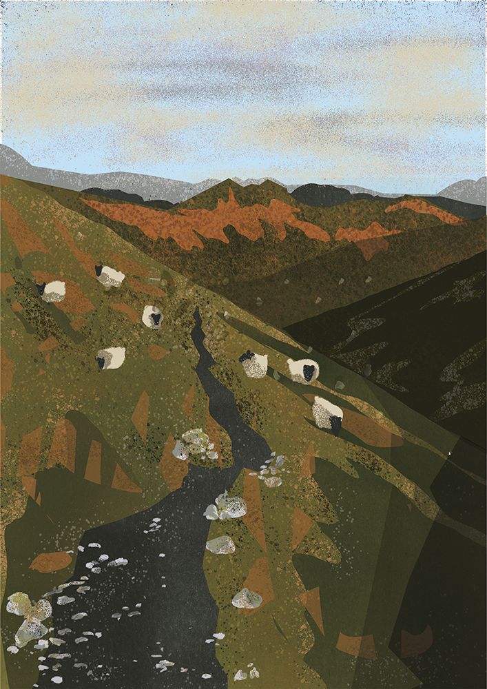 Connemara National Park-Ireland-Wall art Print art print by Charlotte Trudgett for $57.95 CAD