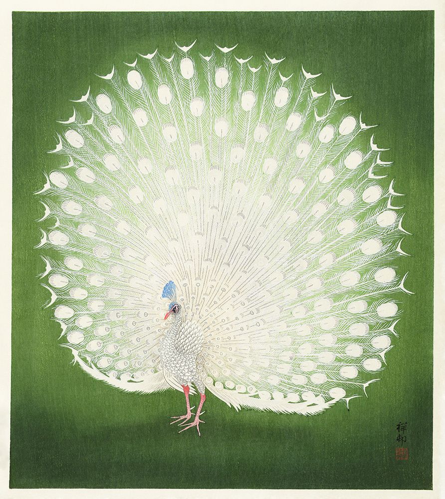 Peacock art print by Pictufy for $57.95 CAD