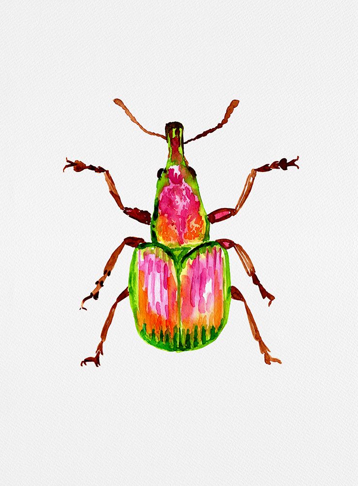 Apricot weevil or Epirhynchites auratus art print by Kata Botanical for $57.95 CAD