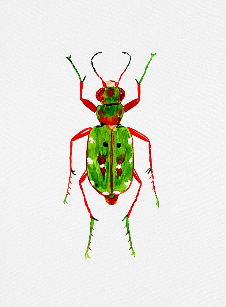 Green tiger beetle or Cicindela campestris art print by Kata Botanical for $57.95 CAD