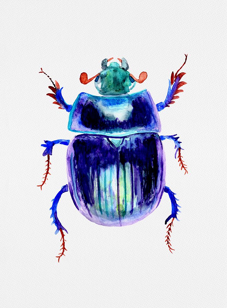 Earth-boring dung beetle or Anoplotrupes stercorosus art print by Kata Botanical for $57.95 CAD