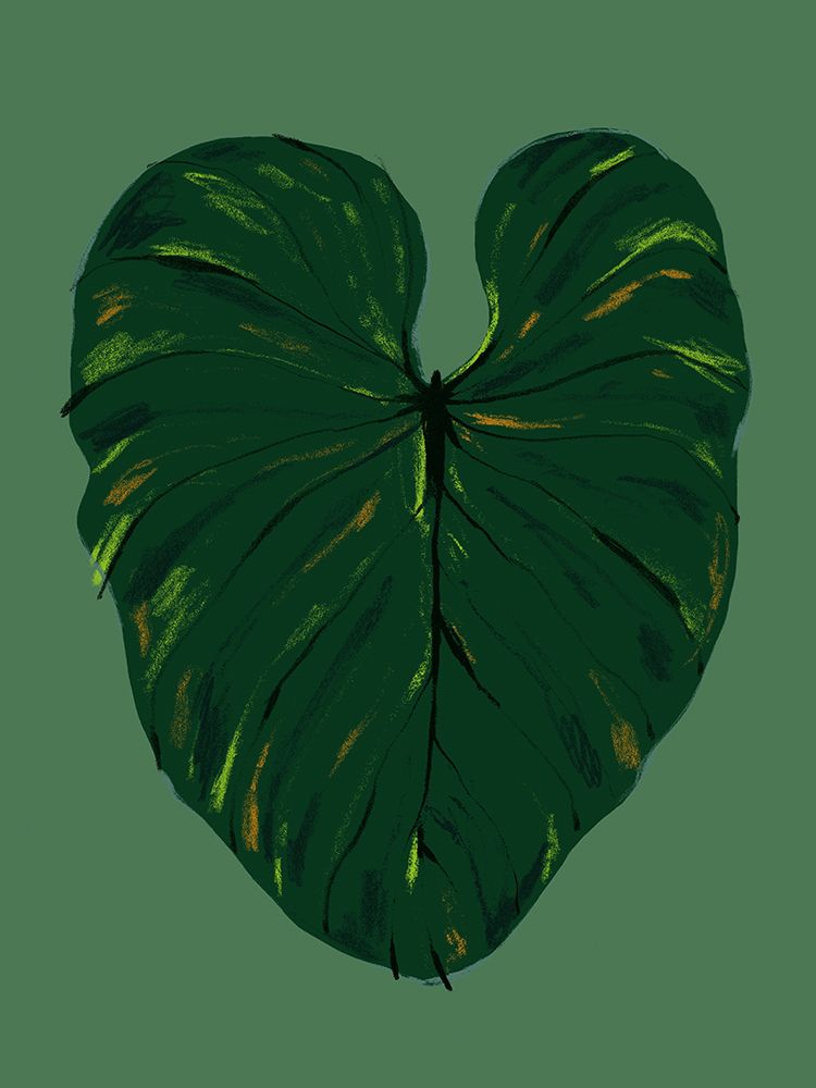 Philodendron Gloriosum Green art print by Francesco Gulina for $57.95 CAD