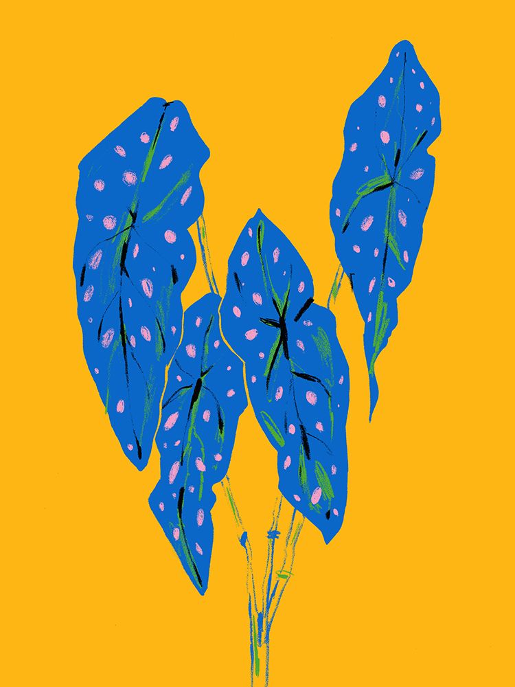 Begonia Maculata Blue and Yellow art print by Francesco Gulina for $57.95 CAD