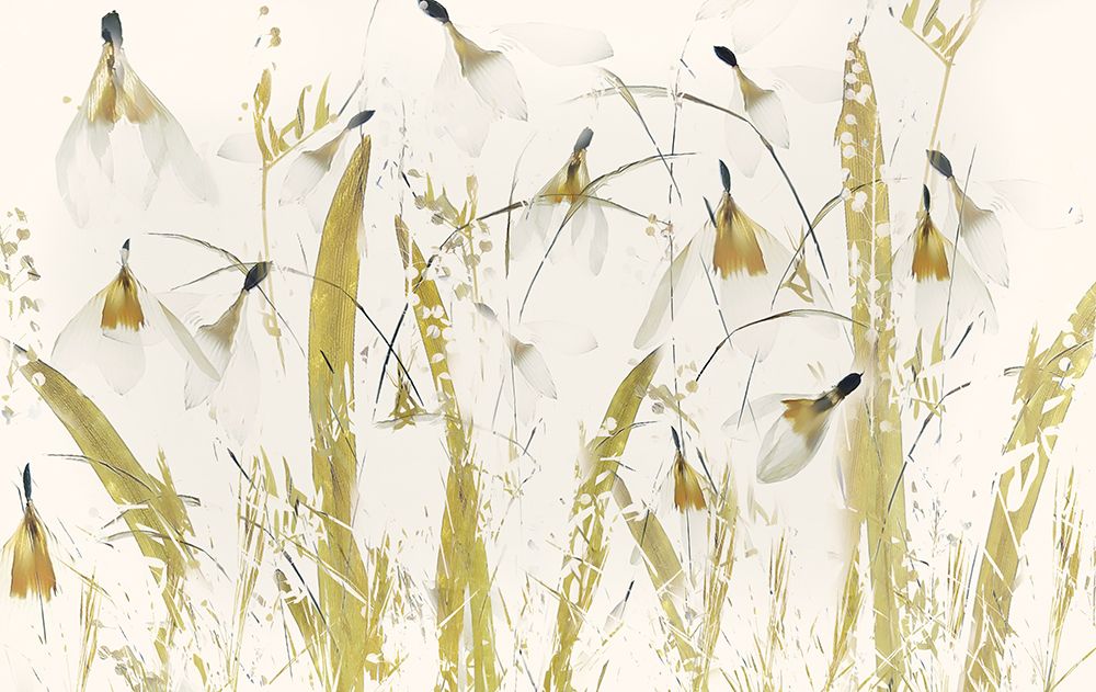 Snowdrops art print by Nel Talen for $57.95 CAD