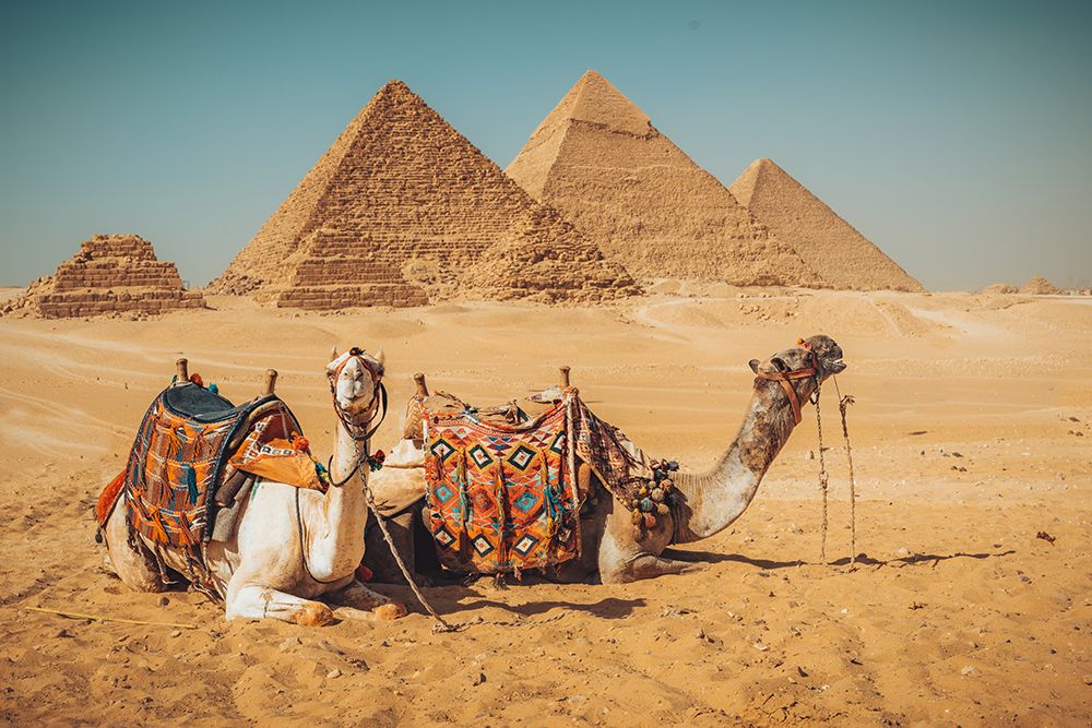 Visit To The Pyramids art print by Nagy Karoly for $57.95 CAD
