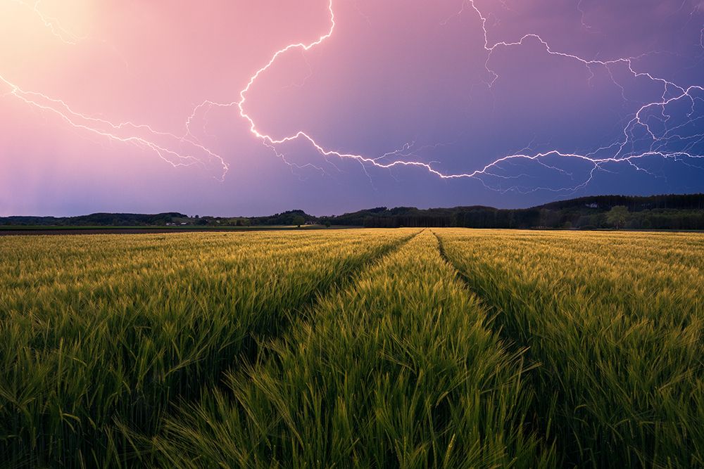 Lightning art print by Stefan Hefele for $57.95 CAD