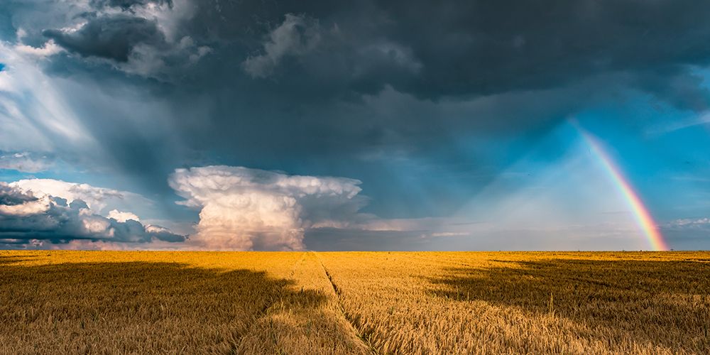 Gold And Thunder art print by Stefan Hefele for $57.95 CAD