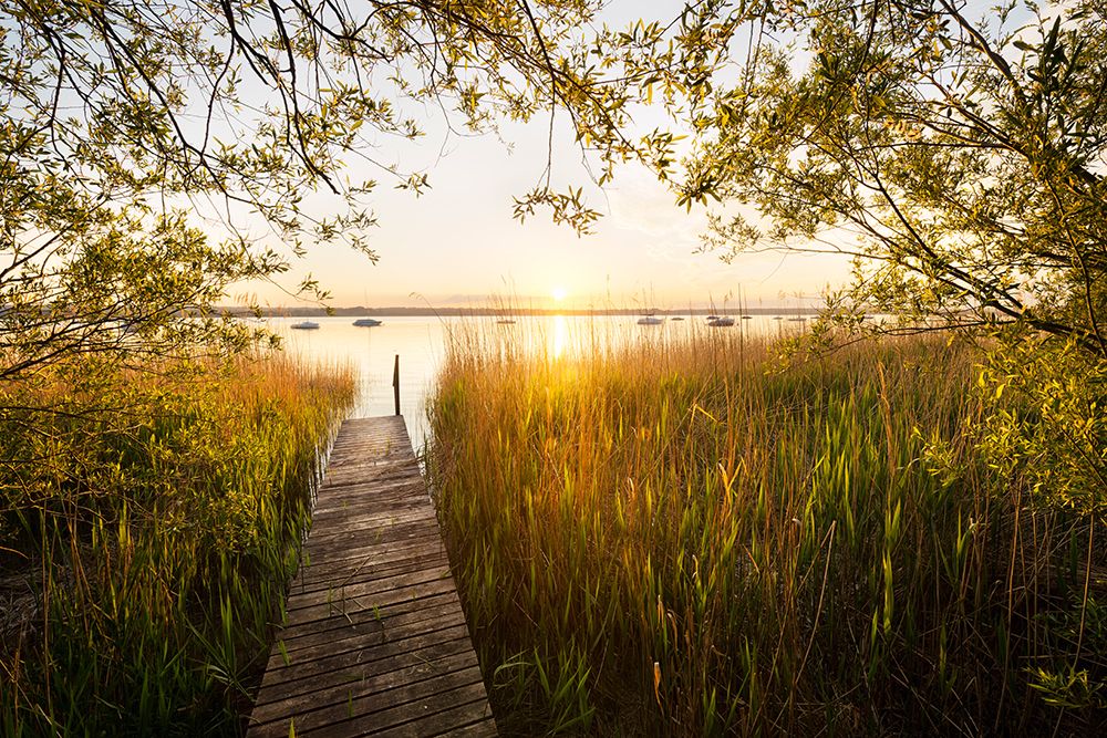 Golden Jetty art print by Stefan Hefele for $57.95 CAD