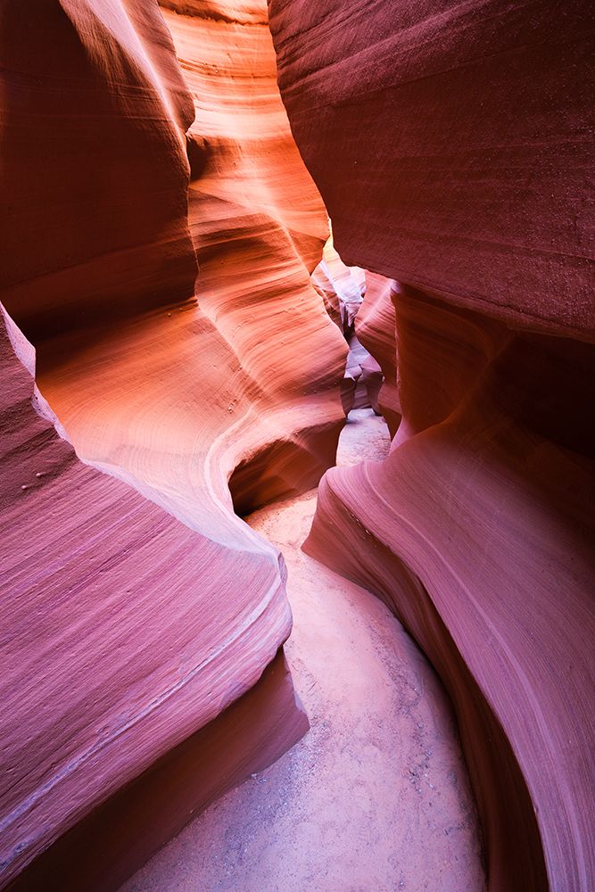 Purple Canyon art print by Stefan Hefele for $57.95 CAD