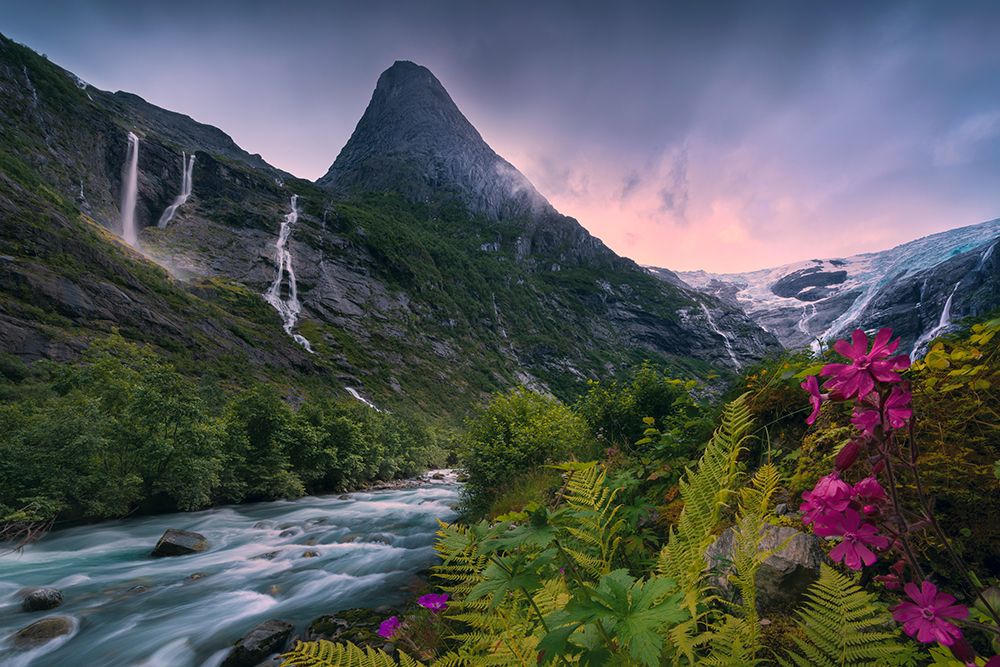 Paradise Norway art print by Stefan Hefele for $57.95 CAD