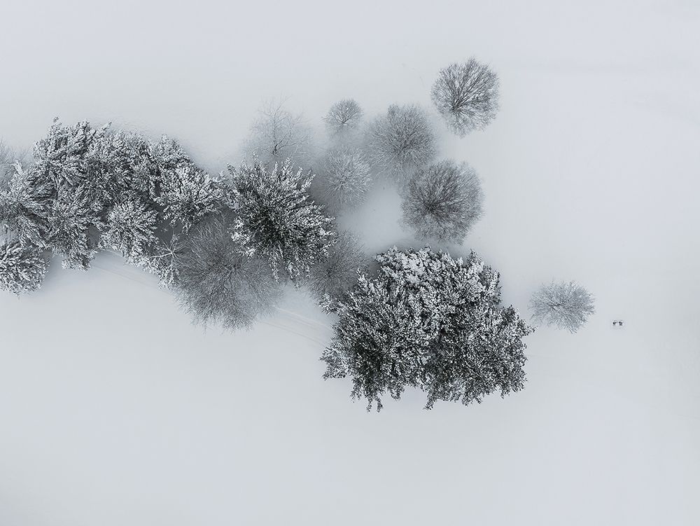 Winters Embrace: Ariel View Of Snowy Trees art print by Wei Dai for $57.95 CAD