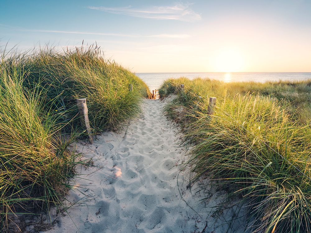 To The Beach art print by Stefan Hefele for $57.95 CAD