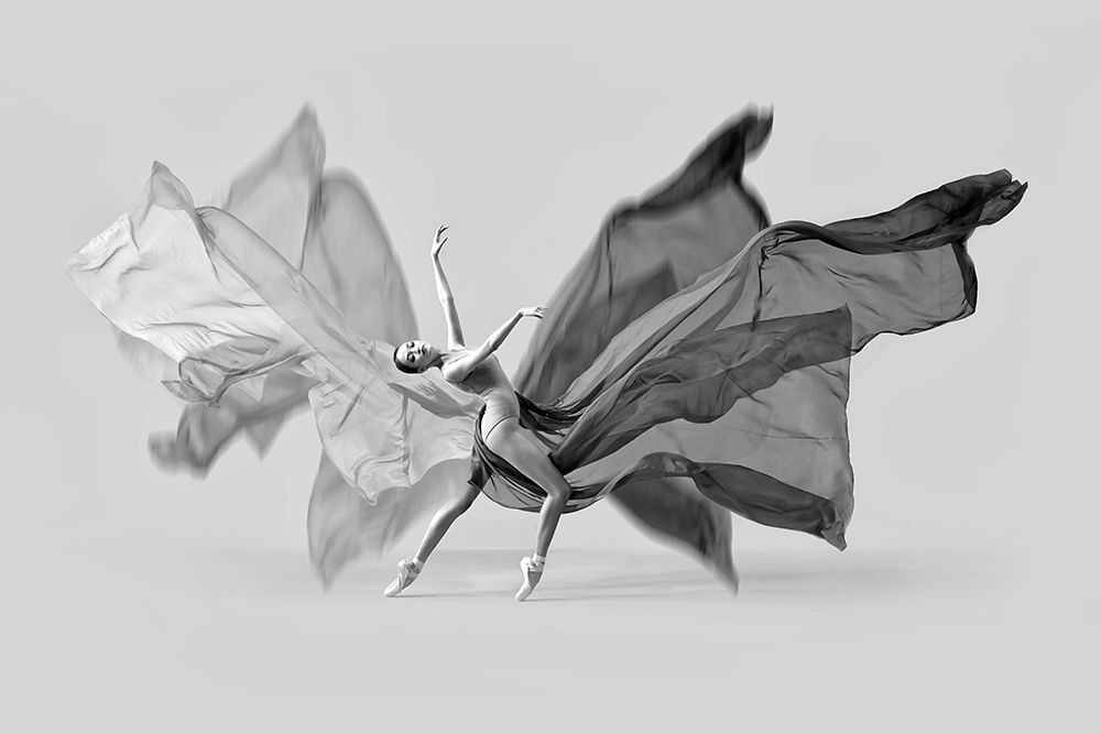 Balerina Butterfly Dance art print by Antonyus Bunjamin (Abe) for $57.95 CAD