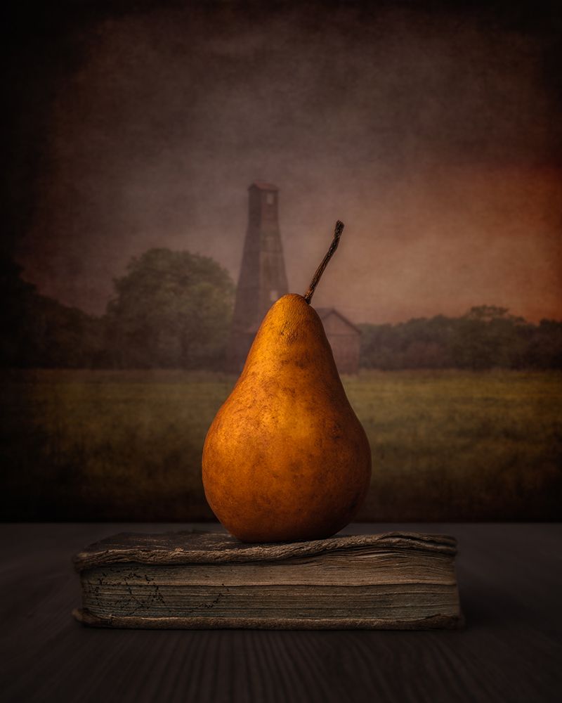Pear art print by Marko Klavs for $57.95 CAD