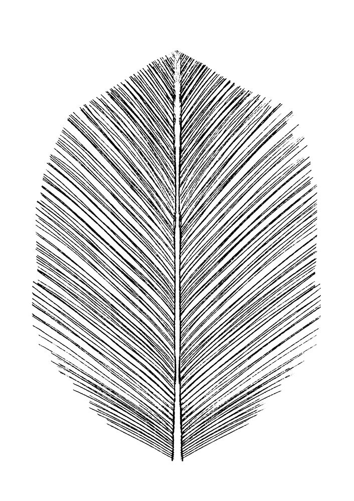 Feather art print by Dan Hobday for $57.95 CAD