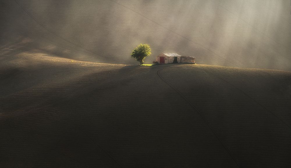 On the rolling hills art print by Tomasz Rojek for $57.95 CAD