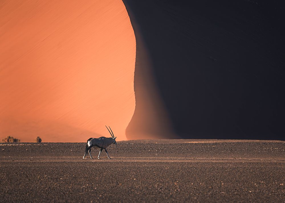 Namibia Impressions art print by Willa Wei for $57.95 CAD