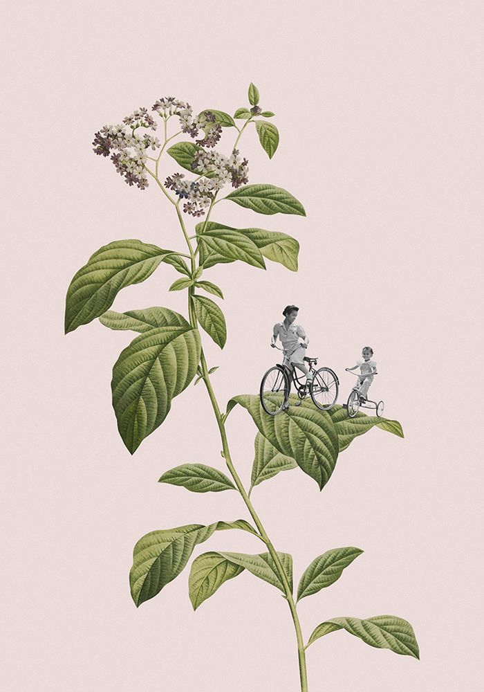 Botanical cycling art print by Frida Floral Studio for $57.95 CAD