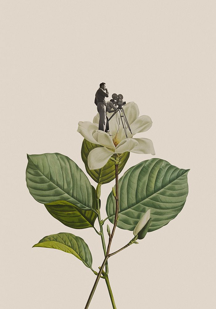 Botanical vintage cameraman art print by Frida Floral Studio for $57.95 CAD