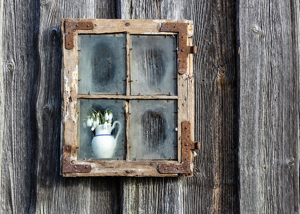 Spring Flowers In The Window art print by Normunds Kaprano for $57.95 CAD