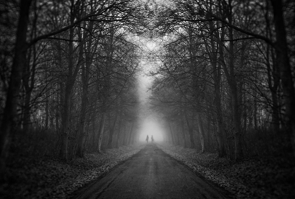 Mirror Spirit art print by Adam Dauria for $57.95 CAD