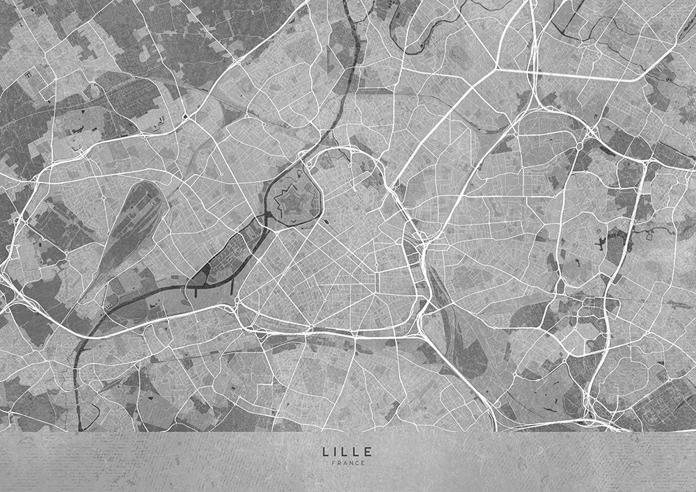 Gray vintage map of Lille France art print by Rosana Laiz Blursbyai for $57.95 CAD
