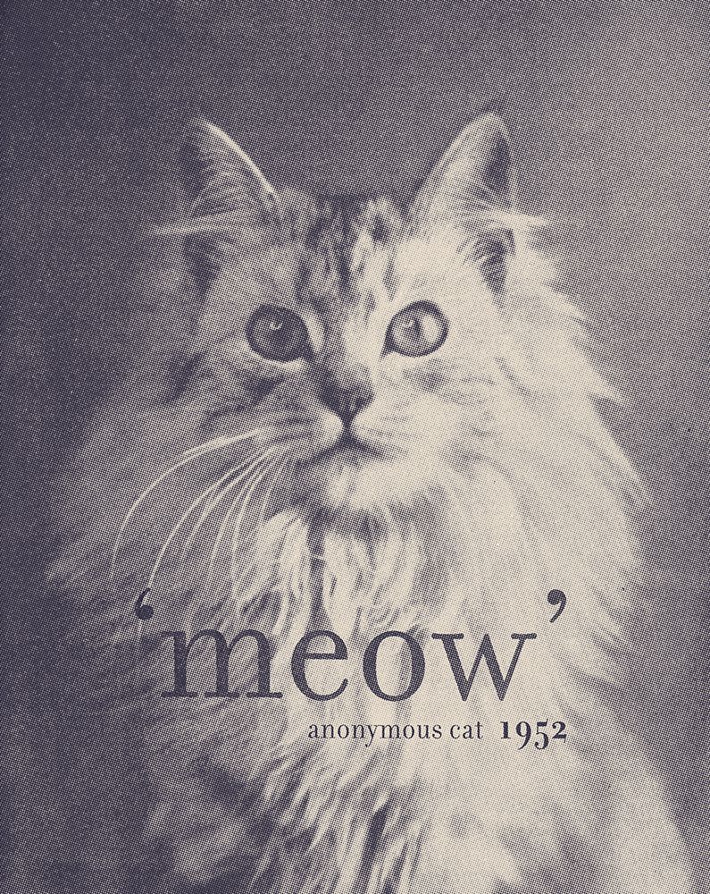 Famous Quote Cat art print by Florent Bodart for $57.95 CAD