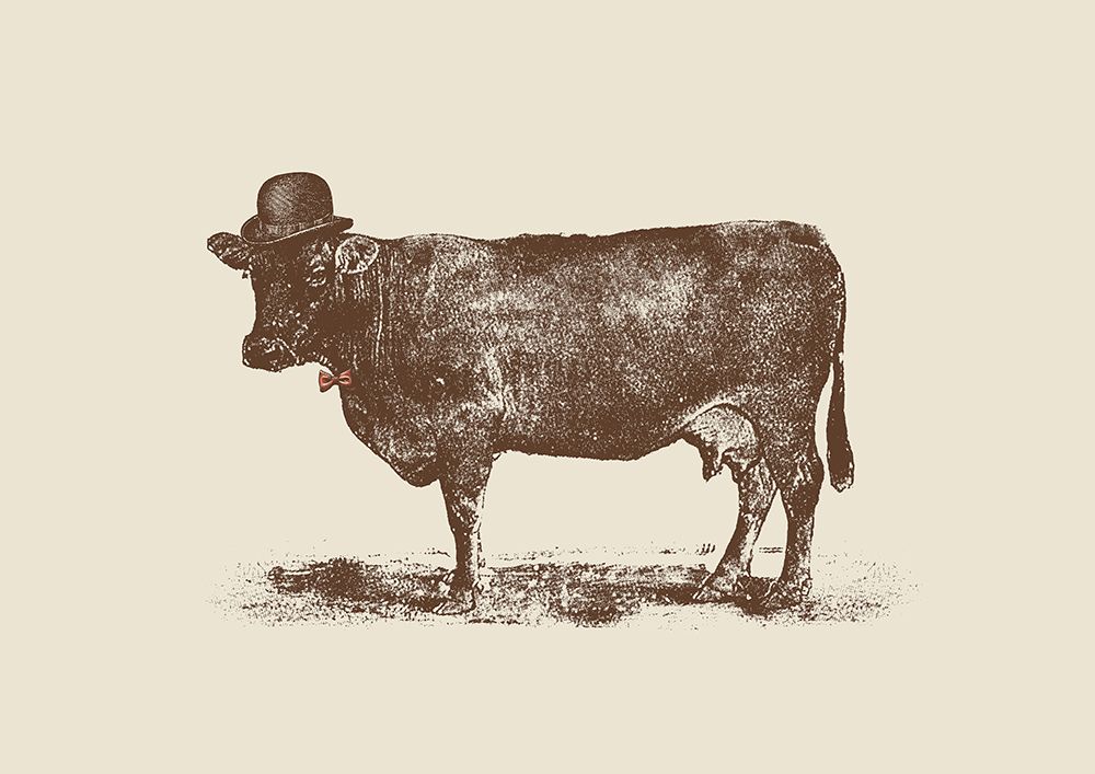 Cow Cow Nut art print by Florent Bodart for $57.95 CAD