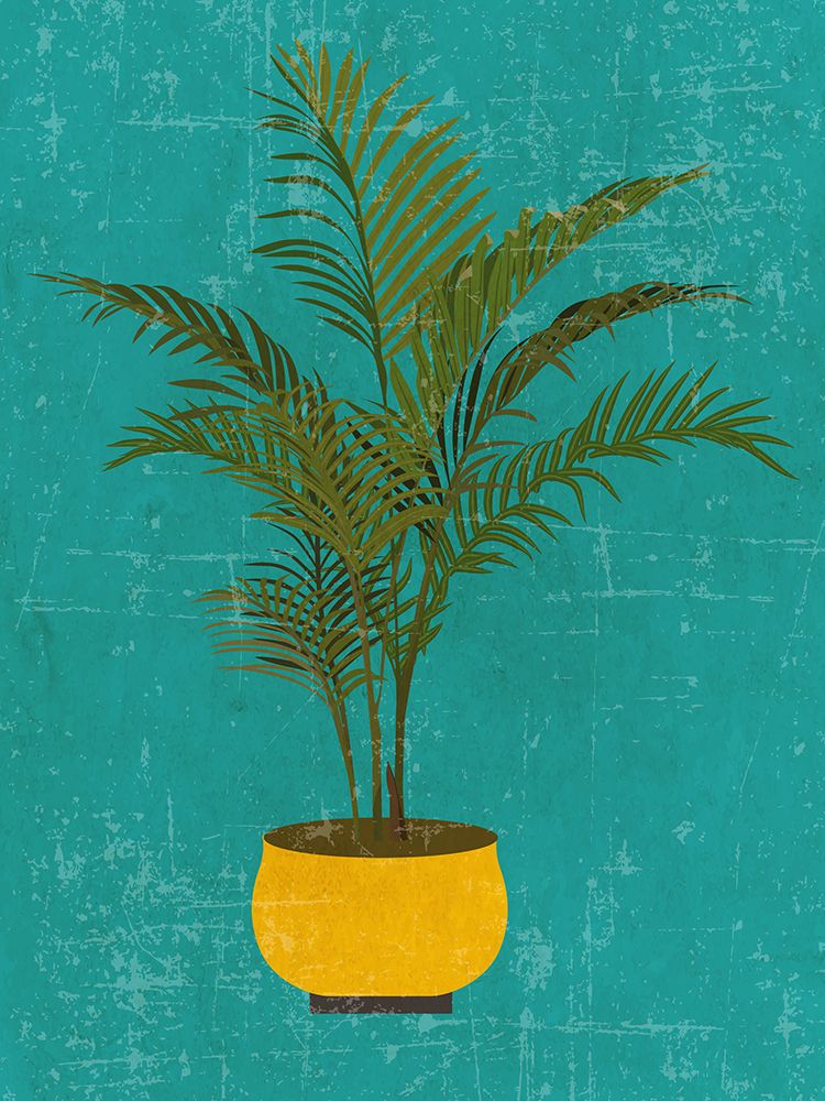 Areca Plant Standard Wall Art art print by Jon Downer for $57.95 CAD