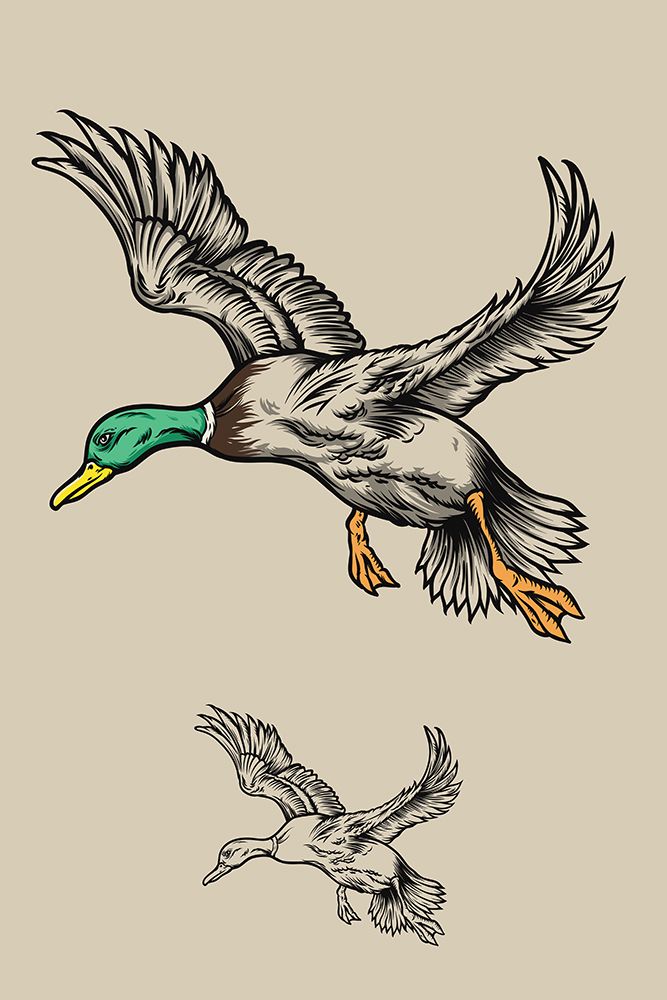 Flying Ducks art print by Jay Stanley for $57.95 CAD