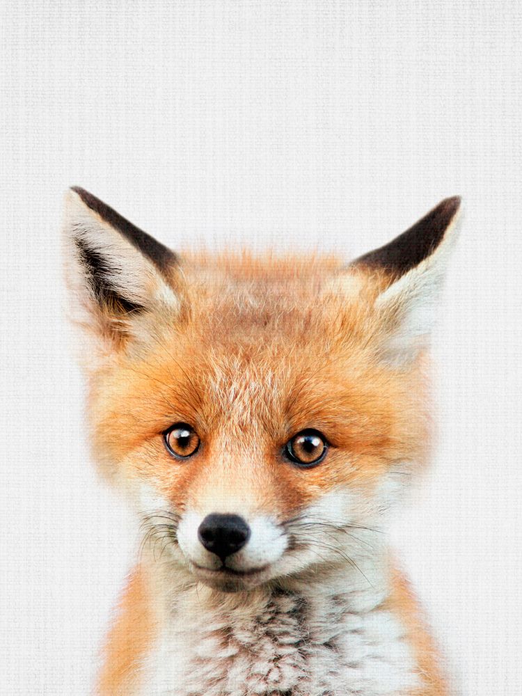 Peekaboo Baby Fox art print by Lola Peacock for $57.95 CAD