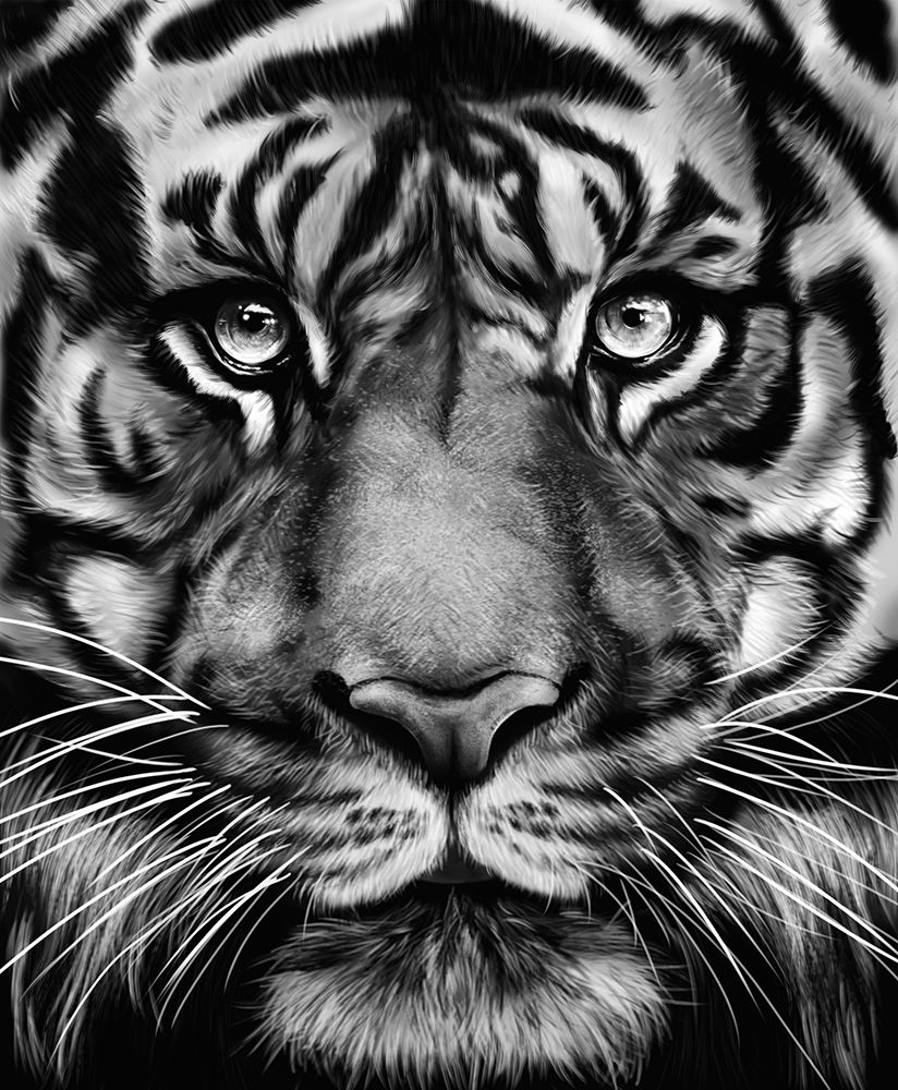 Tiger art print by Gabriella Roberg for $57.95 CAD