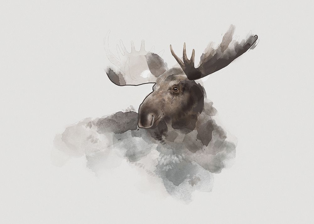 Elk art print by Gabriella Roberg for $57.95 CAD