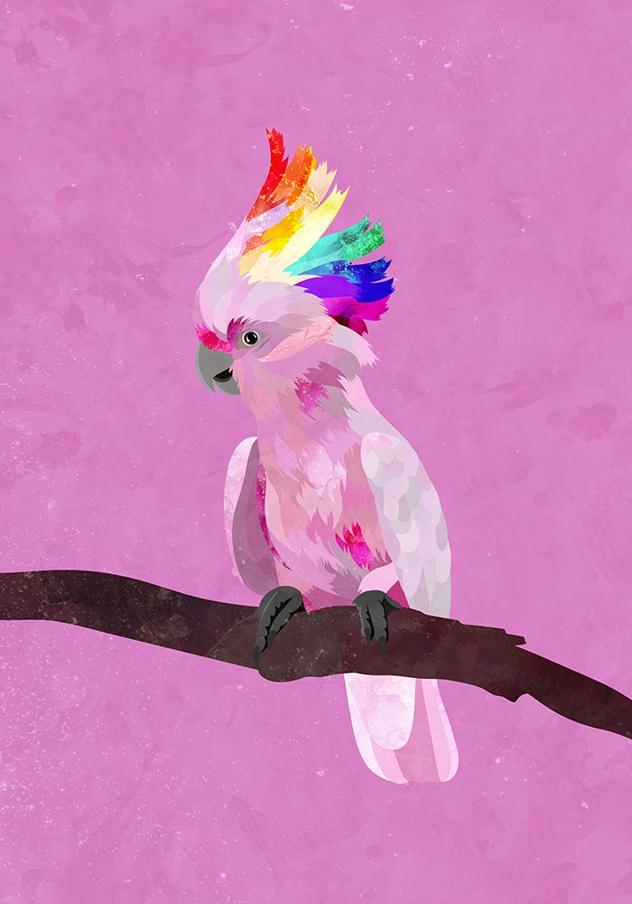 Pride Galah art print by Sarah Manovski for $57.95 CAD