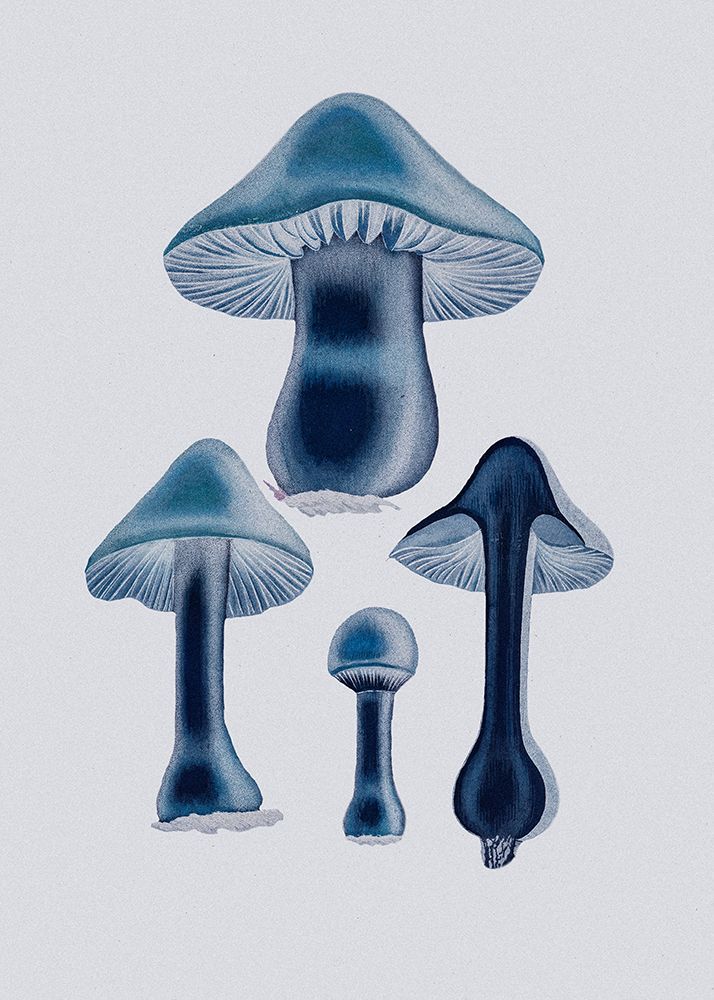 Agaricus Bulbosus - Blue art print by Pictufy for $57.95 CAD